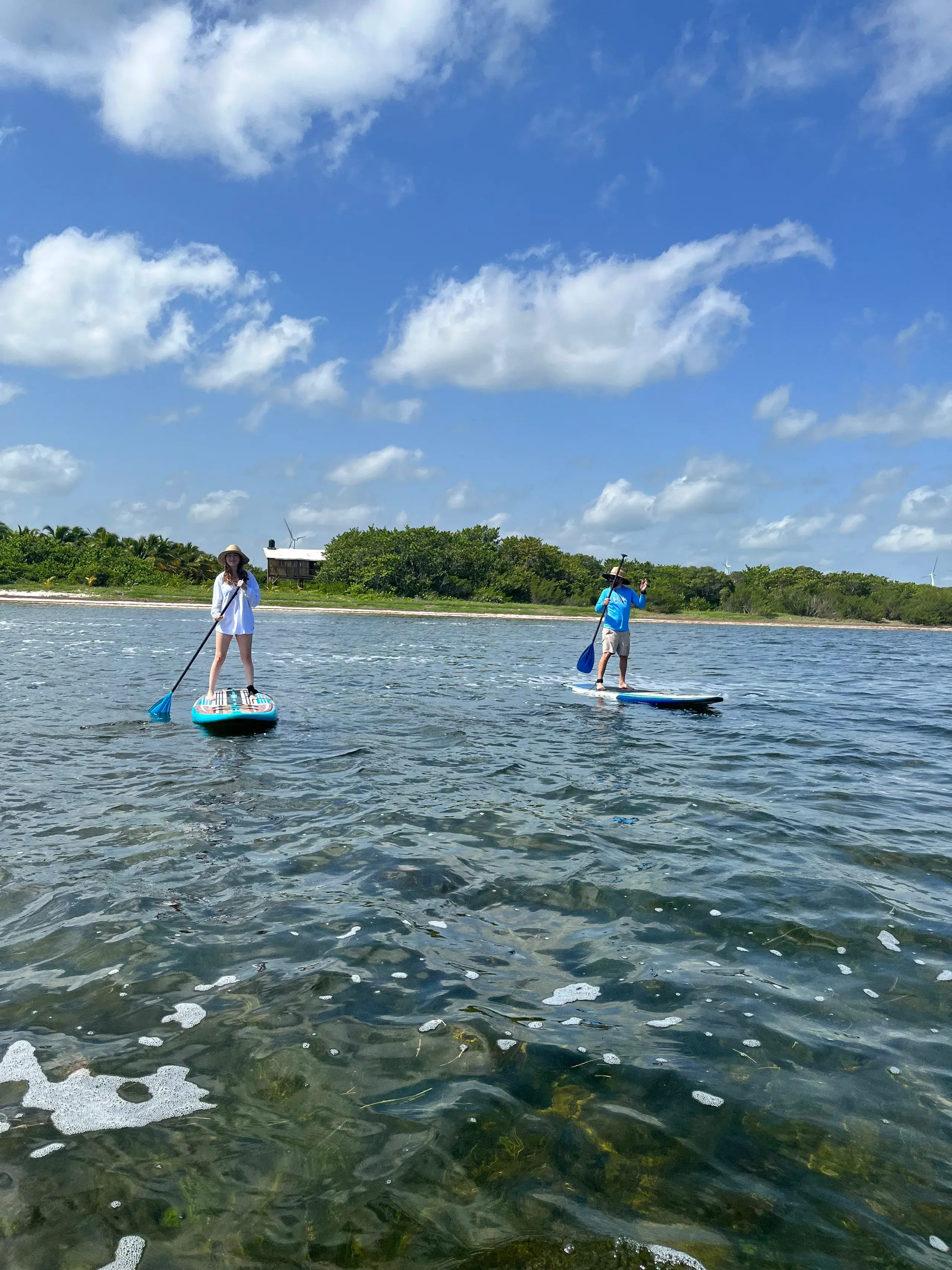 Huéspedes recorriendo el mar en paddle boards